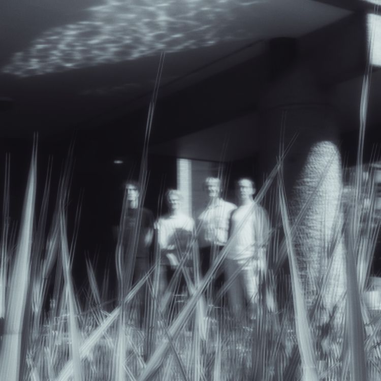 Obscured band members stood behind long grass